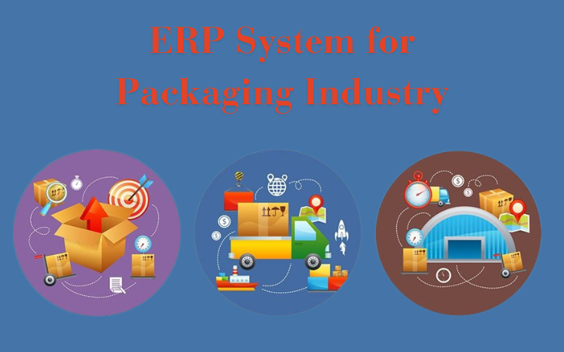 How ERP System for the Packaging Industry Helps Drive Growth? - Elitetravel.co.in