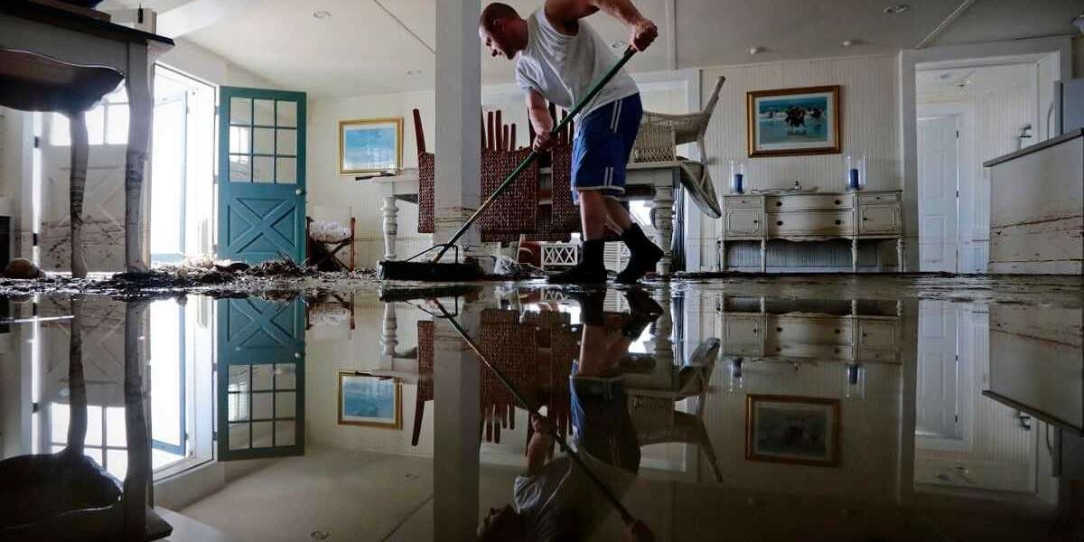 Unveiling the Expertise of Flood Services Perth in Wet Carpet Cleaning